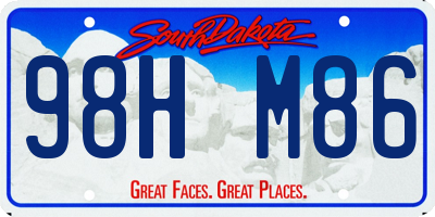 SD license plate 98HM86