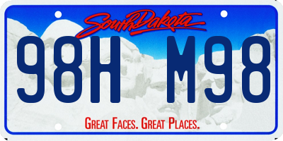 SD license plate 98HM98