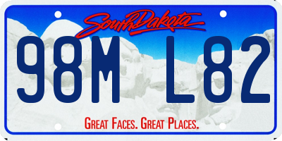 SD license plate 98ML82