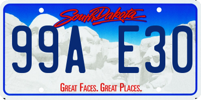 SD license plate 99AE30
