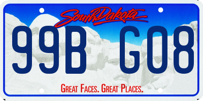 SD license plate 99BG08