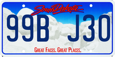 SD license plate 99BJ30