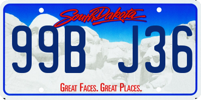 SD license plate 99BJ36