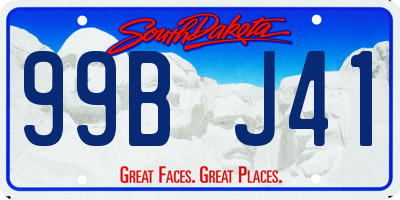 SD license plate 99BJ41