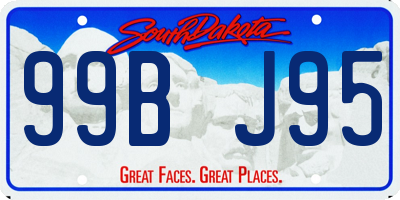 SD license plate 99BJ95