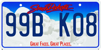 SD license plate 99BK08