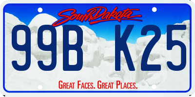SD license plate 99BK25