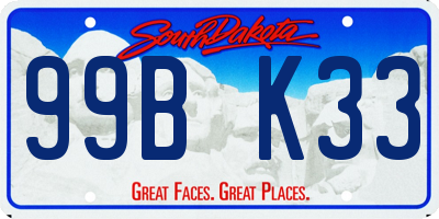 SD license plate 99BK33