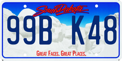SD license plate 99BK48