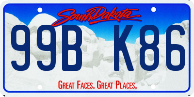 SD license plate 99BK86