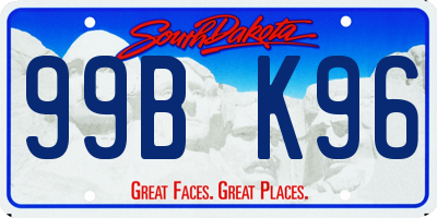 SD license plate 99BK96