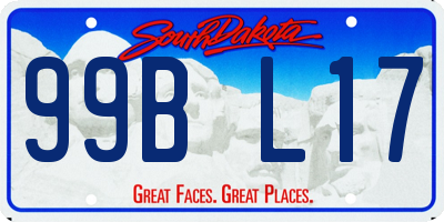 SD license plate 99BL17