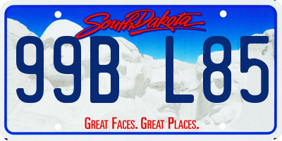 SD license plate 99BL85