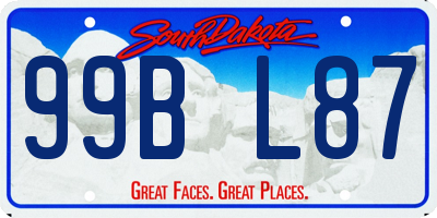 SD license plate 99BL87
