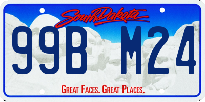 SD license plate 99BM24