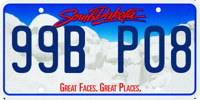 SD license plate 99BP08