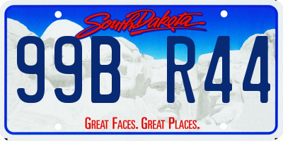 SD license plate 99BR44