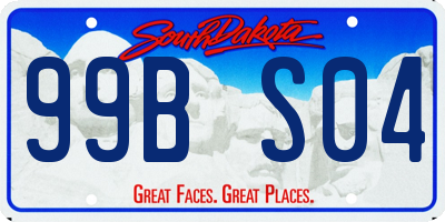 SD license plate 99BS04