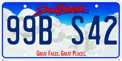 SD license plate 99BS42