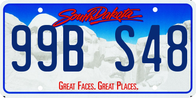 SD license plate 99BS48