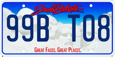 SD license plate 99BT08