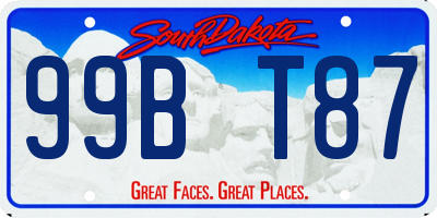 SD license plate 99BT87
