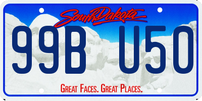 SD license plate 99BU50