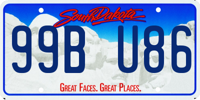 SD license plate 99BU86