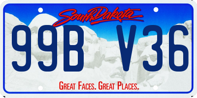 SD license plate 99BV36