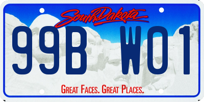 SD license plate 99BW01