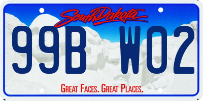 SD license plate 99BW02