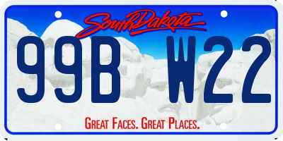 SD license plate 99BW22