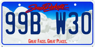 SD license plate 99BW30