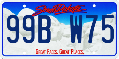 SD license plate 99BW75