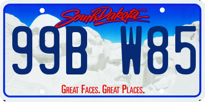 SD license plate 99BW85