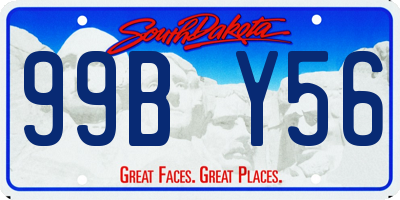 SD license plate 99BY56