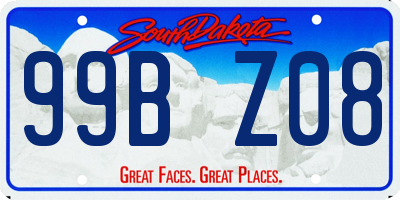 SD license plate 99BZ08