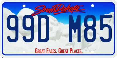 SD license plate 99DM85