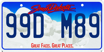 SD license plate 99DM89