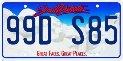 SD license plate 99DS85