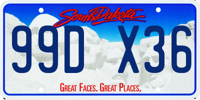 SD license plate 99DX36