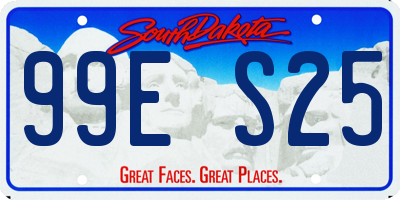 SD license plate 99ES25