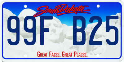 SD license plate 99FB25