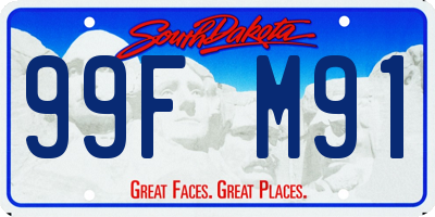 SD license plate 99FM91