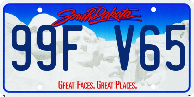 SD license plate 99FV65