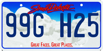 SD license plate 99GH25