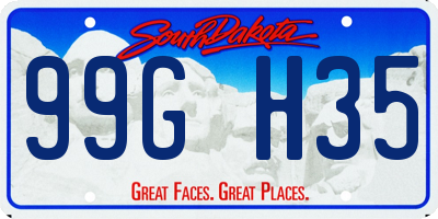 SD license plate 99GH35