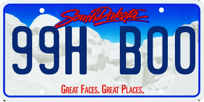 SD license plate 99HB00