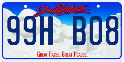 SD license plate 99HB08