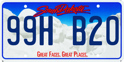 SD license plate 99HB20